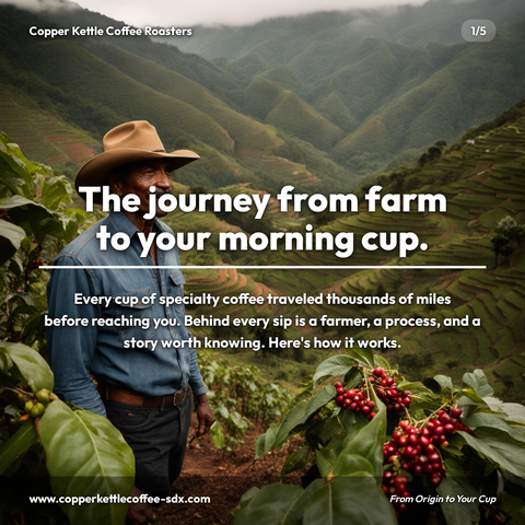 Coffee roaster carousel about farm to cup journey