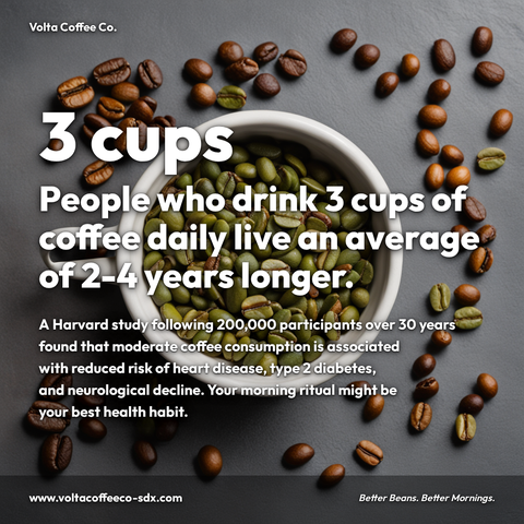 Coffee shop statistic graphic about coffee and longevity